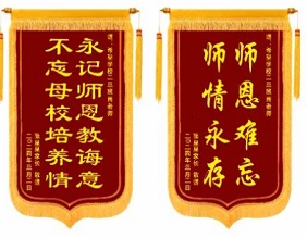 荣誉之旗·定制锦旗设计